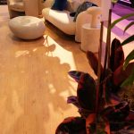 Meta Leadership Day 2025 lounge area with curved white seating, blue pillows, plants, and natural sunlight